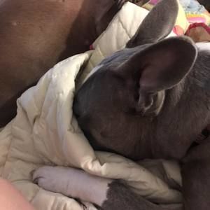 Meet your Posher, Judy